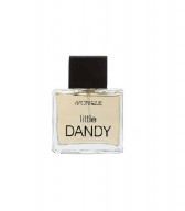 PERFUME LITTLE DANDY